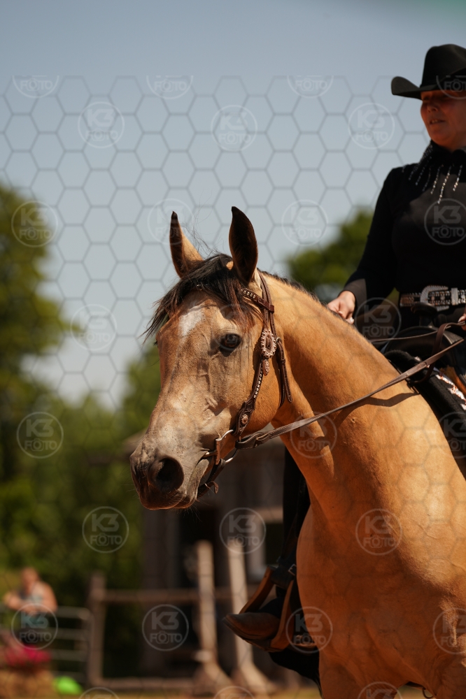 s_A9_03746.jpg